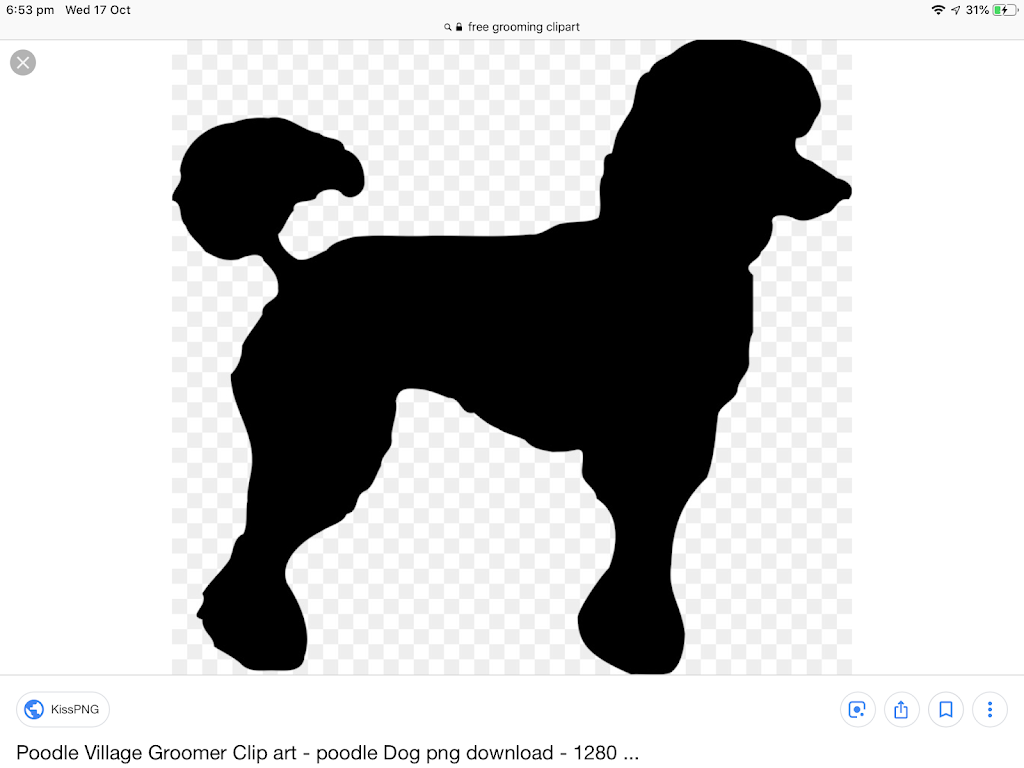 Belindas Dog Grooming | 20 Reef Cl, Port Macquarie NSW 2444, Australia | Phone: 0409 837 337
