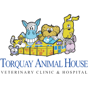 Torquay Animal House Veterinary Clinic & Hospital | veterinary care | 120 Geelong Rd, Torquay VIC 3228, Australia | 0352616486 OR +61 3 5261 6486