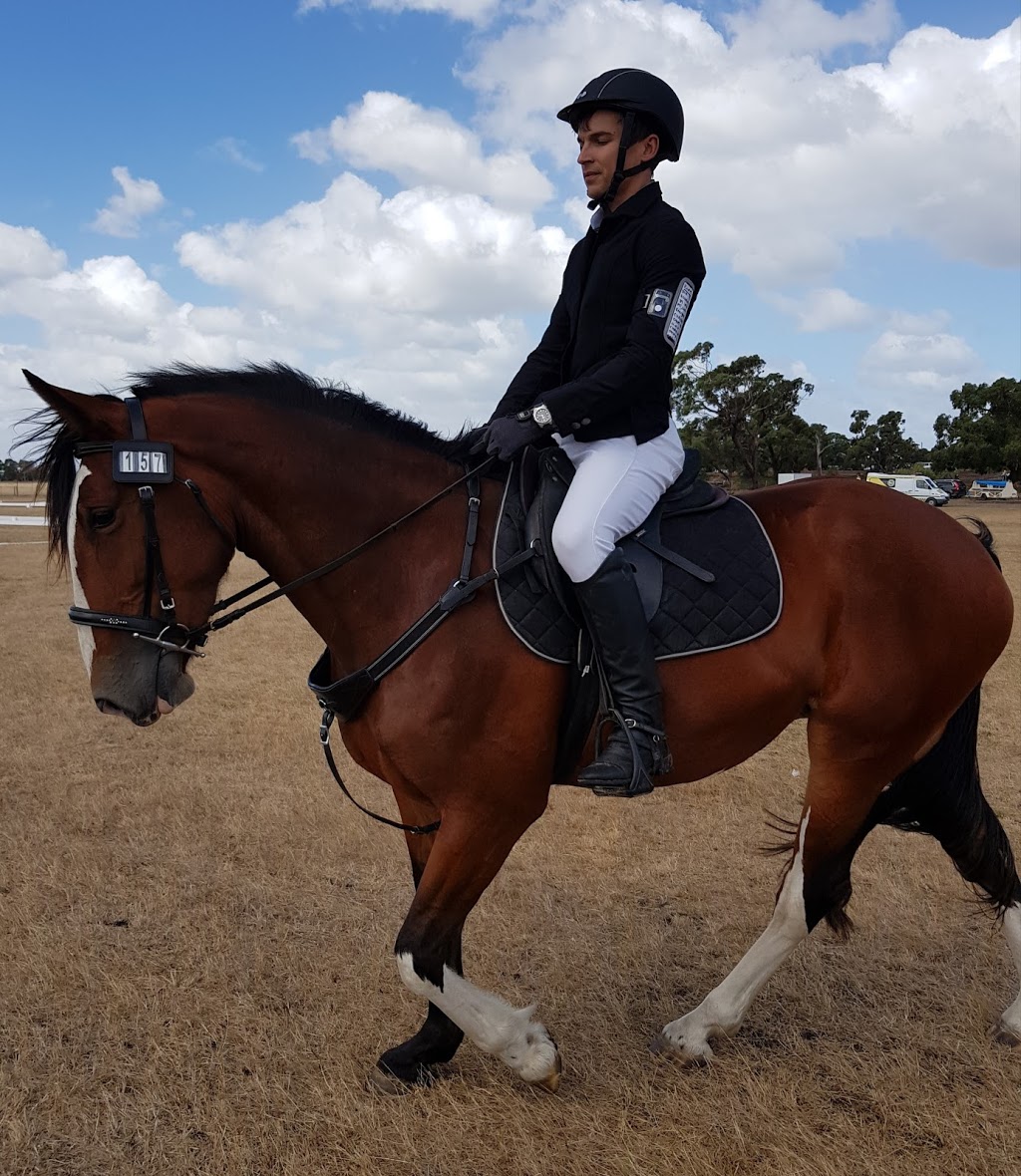 KW Horse Breaking & Training | 62 Double Jump Rd, Victoria Point QLD 4165, Australia | Phone: 0439 536 805