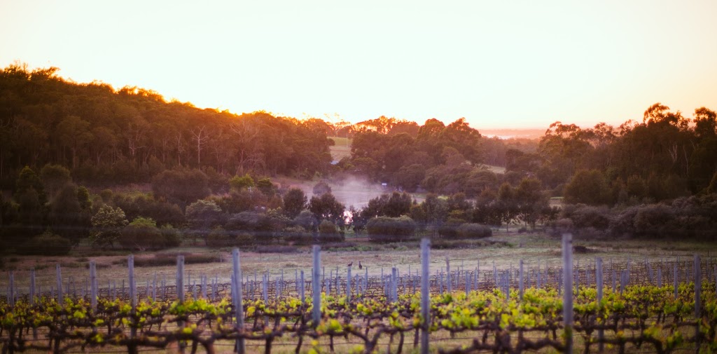 Rivendell Winery Estate | restaurant | 1172 Wildwood Rd, Yallingup Siding WA 6282, Australia | 0897552000 OR +61 8 9755 2000