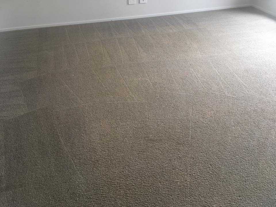 Lukes Carpet Cleaning and Pest Control | 64 Rifle Range Rd, Gympie QLD 4570, Australia | Phone: 0481 311 516