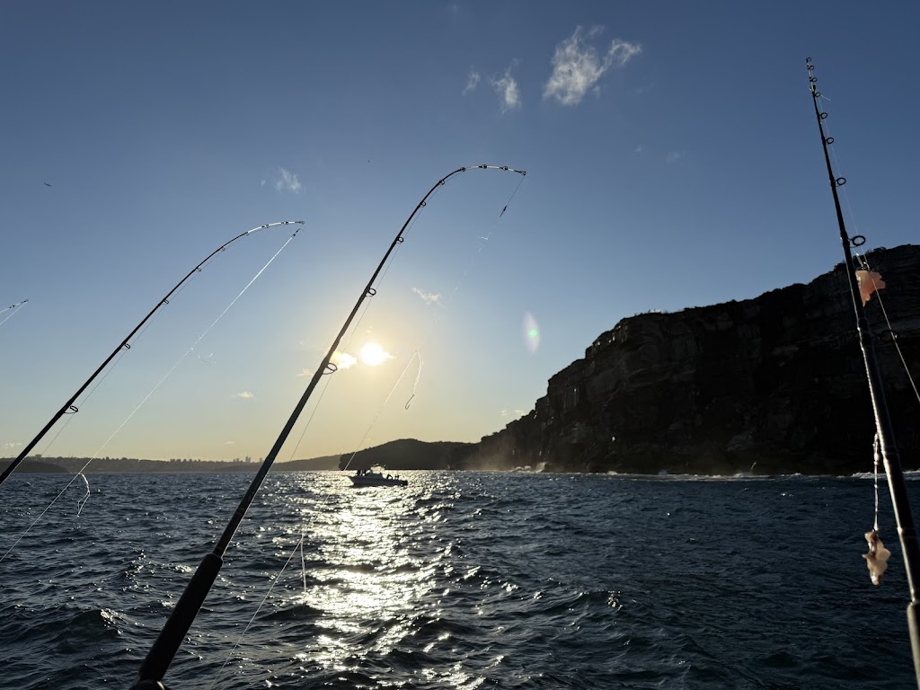 Sydney Charter Fishing | Manly Wharf, Wharf 3, Manly NSW 2095, Australia | Phone: 0450 903 390