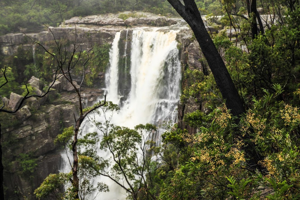 Carrington Falls | tourist attraction | 44-48 Hoddle Street Budderoo, National Park, Robertson NSW 2577, Australia | 0242360469 OR +61 2 4236 0469