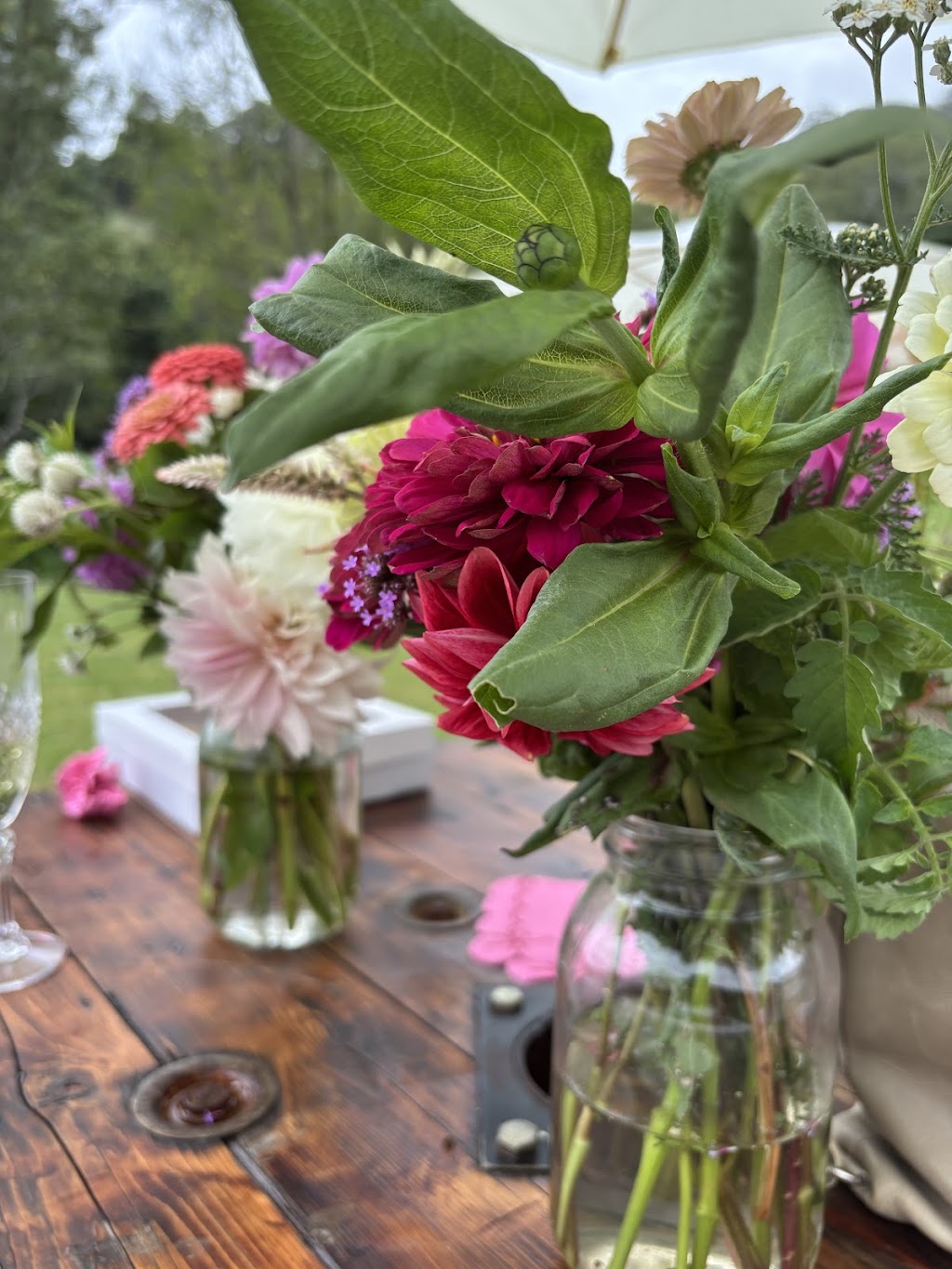 Macadamia floral farm | 52 Macadamia Dr, Laceys Creek QLD 4521, Australia | Phone: 0414 994 446