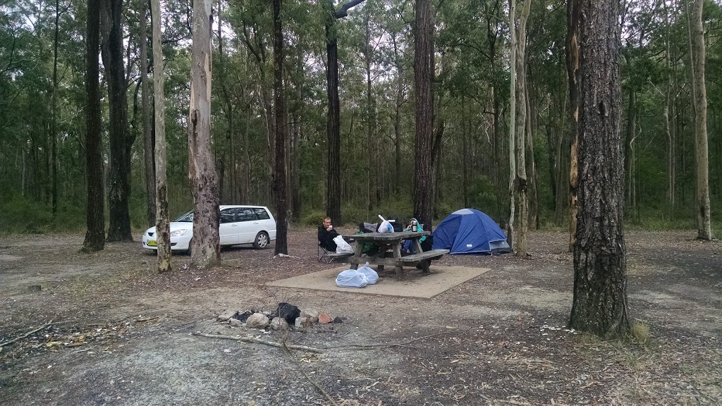 Little Mountain campground | campground | Little Mountain Road, Limeburners Creek NSW 2324, Australia | 0249848200 OR +61 2 4984 8200