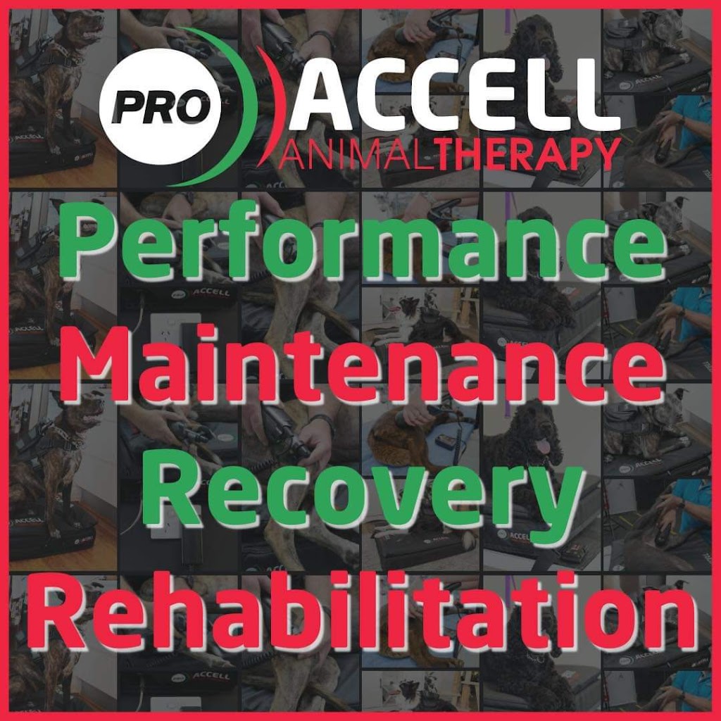 Accell Therapy Vic - Christine McDonald | 95 Bengworden Rd, Bairnsdale VIC 3875, Australia | Phone: 0407 526 993