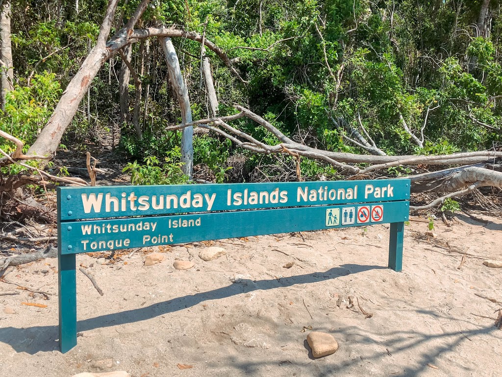 Whitehaven Beach camping area, Whitsunday Islands National Park | Whitehaven beach, Whitsundays QLD 4802, Australia