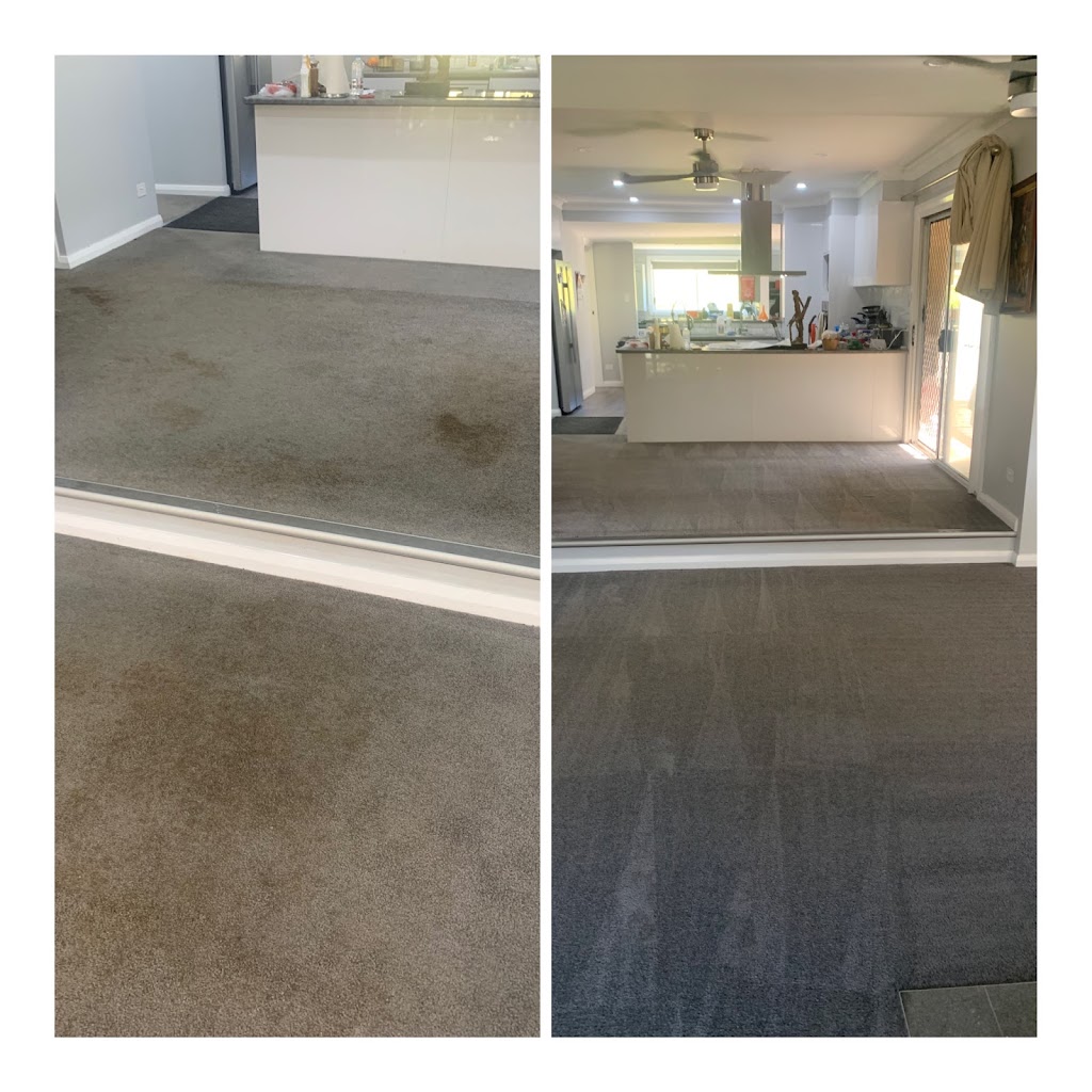 central coast carpet care | 10 Kingsland Cl, Tacoma South NSW 2259, Australia | Phone: 0415 587 113
