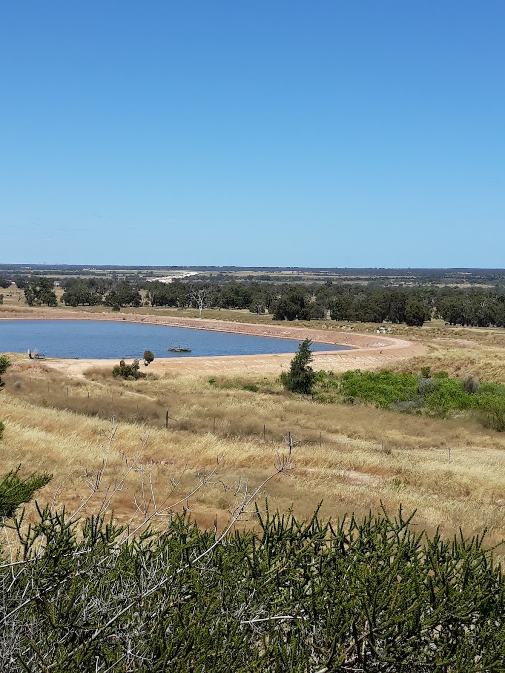 Muchea Livestock Centre (WAMIA) | Muchea WA 6501, Australia | Phone: (08) 9571 0013