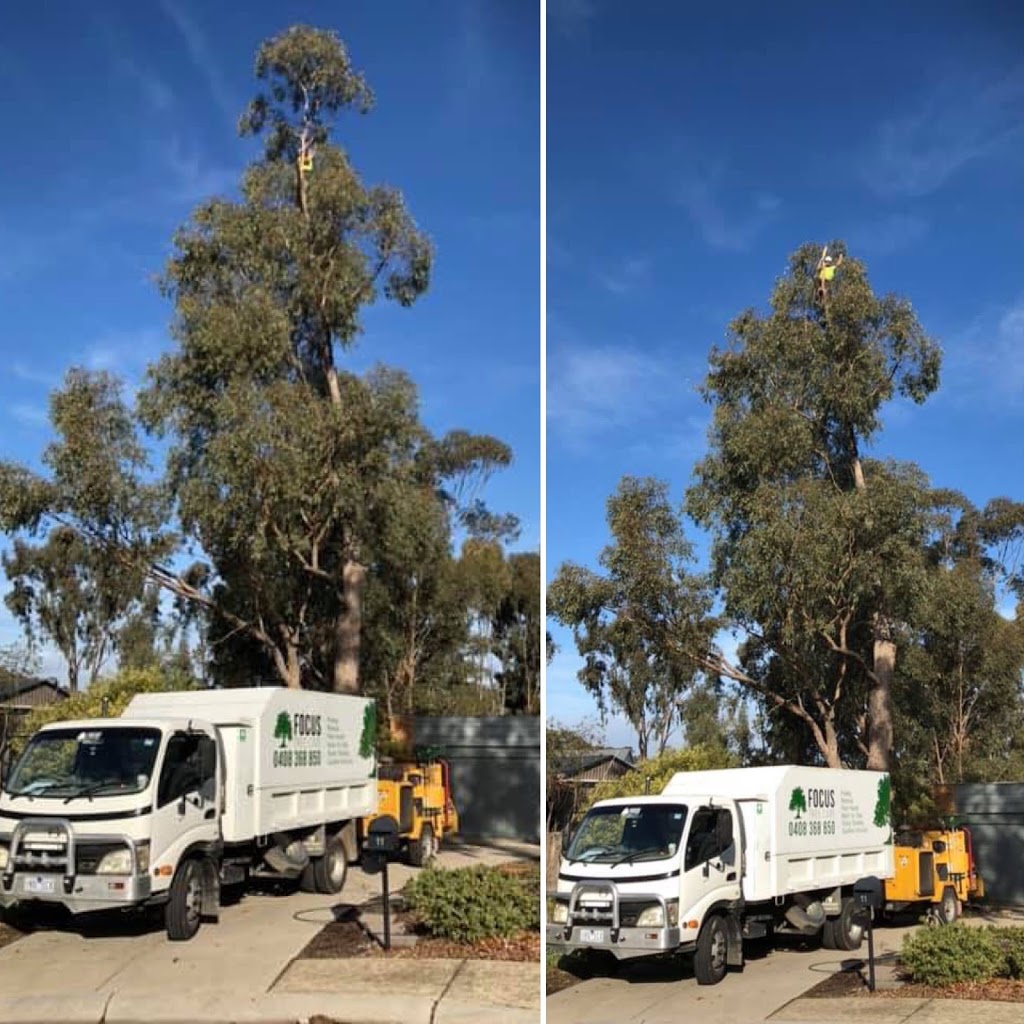 Focus Tree Care | 20 Highlands Rd, Seymour VIC 3660, Australia | Phone: 0408 368 850