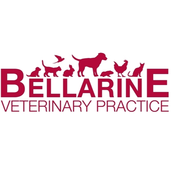 Bellarine Veterinary Practice | veterinary care | 304 Torquay Road, Grovedale VIC 3216, Australia | 0352441300 OR +61 3 5244 1300