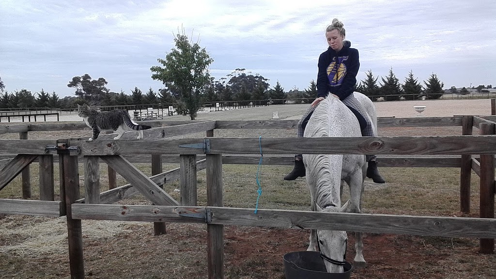 JurAvon Park Equestrian Centre | 1748 Gisborne-Melton Rd, Kurunjang VIC 3337, Australia | Phone: 0498 032 254