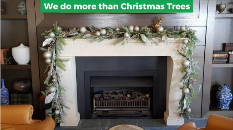 Christmas Tree Hire | Unit 11/103 Stenhouse Dr, Cameron Park NSW 2285, Australia | Phone: 1800 601 334