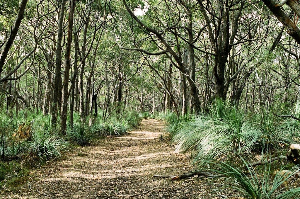 Spring Mount Conservation Park | park | Mount Alma Rd, Inman Valley SA 5211, Australia | 0882041910 OR +61 8 8204 1910