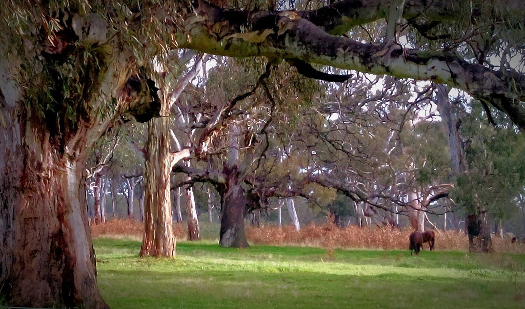 Laurimar Wetlands | park | Mollison Dr, Doreen VIC 3754, Australia