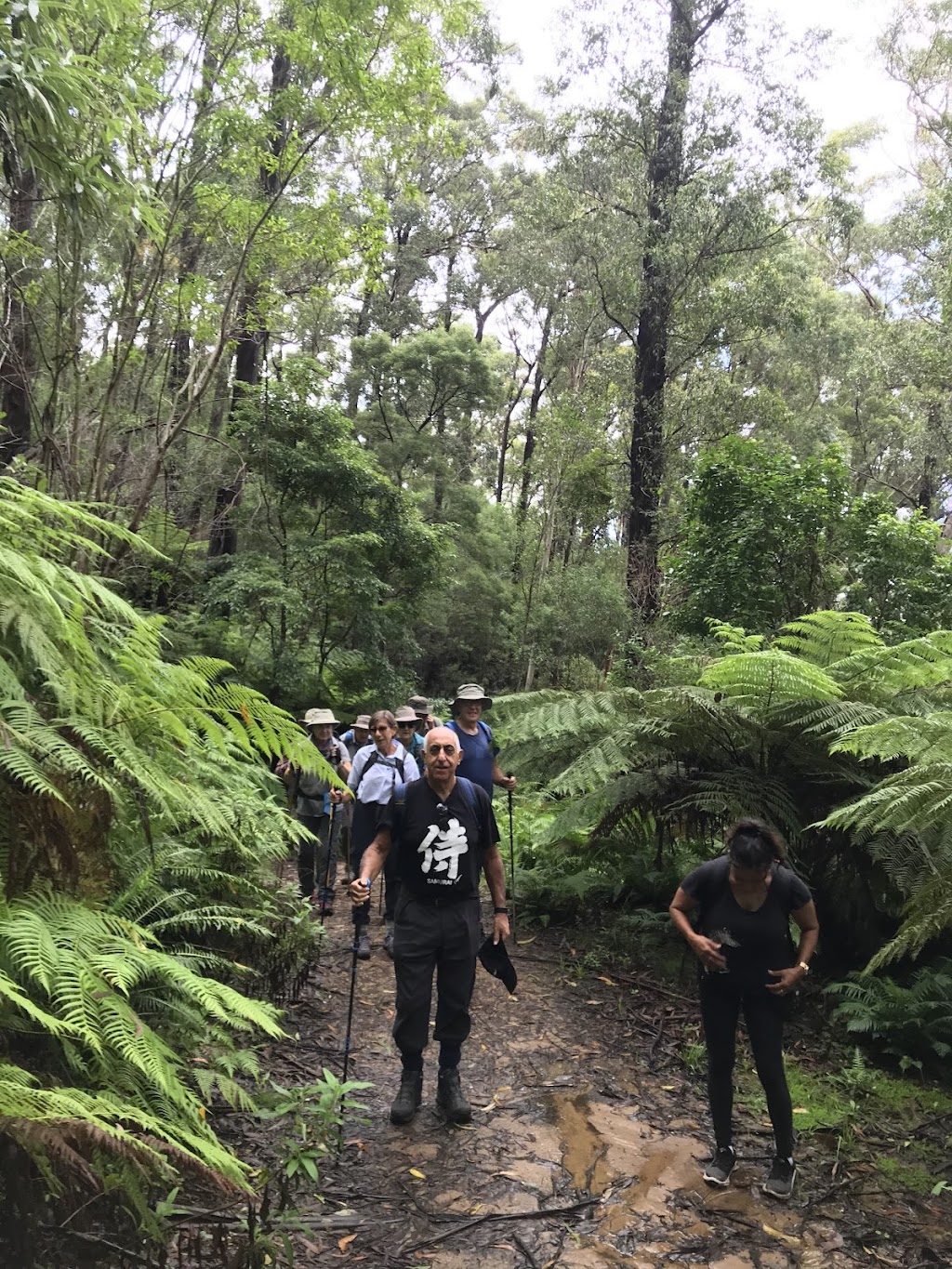 Tilba Walks Heritage Talks Walking Tours | The Meeting Spot, Corkhill Dr, Central Tilba NSW 2546, Australia | Phone: 0433 114 374