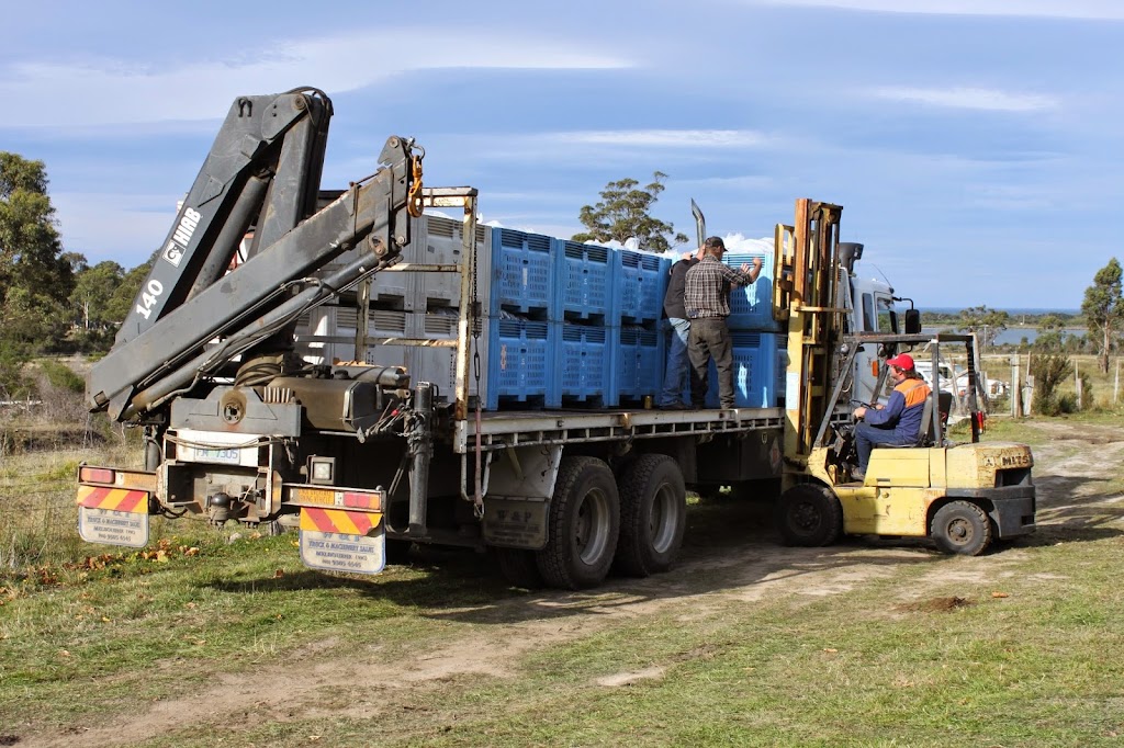 Bicheno Carriers | 1997 E Tamar Hwy, Dilston TAS 7252, Australia | Phone: 0408 133 887