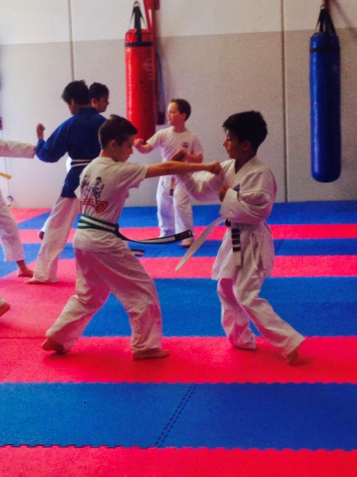 Satori Karate Mt Eliza | 105 Koetong Parade, Mount Eliza VIC 3930, Australia | Phone: (03) 9018 7866