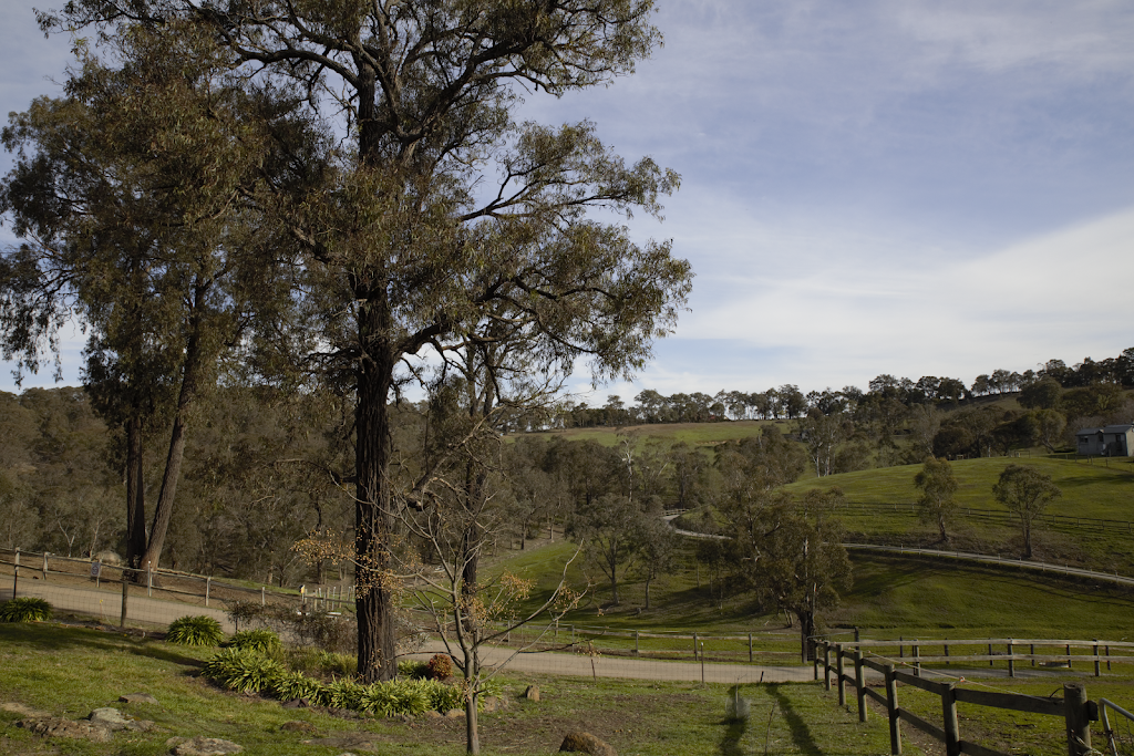 Unicorn Valley Therapies | 85 Alma Rd, Panton Hill VIC 3759, Australia | Phone: 0408 522 205