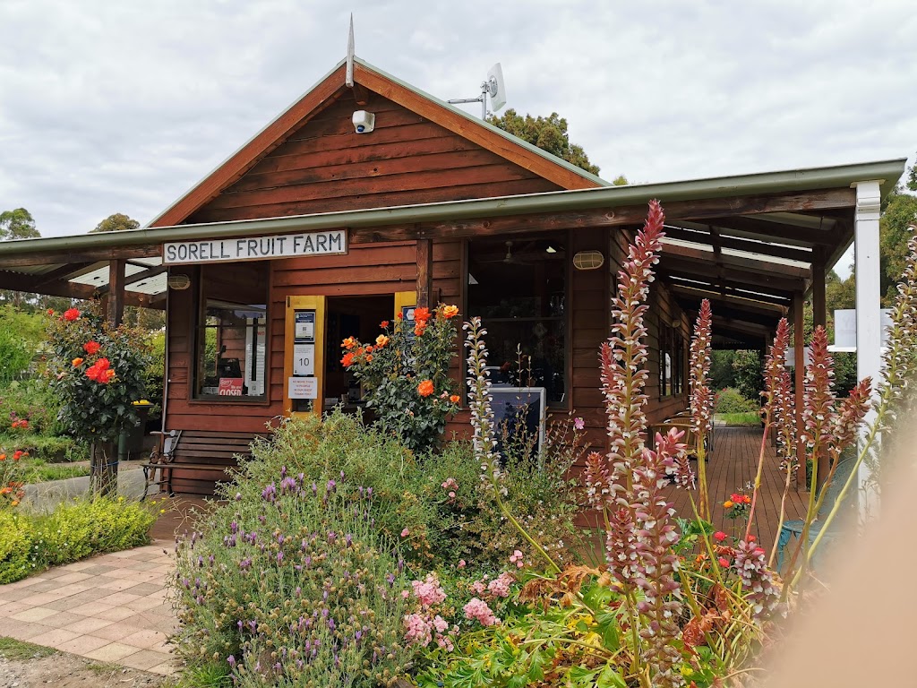 Sorell Fruit Farm | 174 Pawleena Rd, Sorell TAS 7172, Australia | Phone: (03) 6265 3100