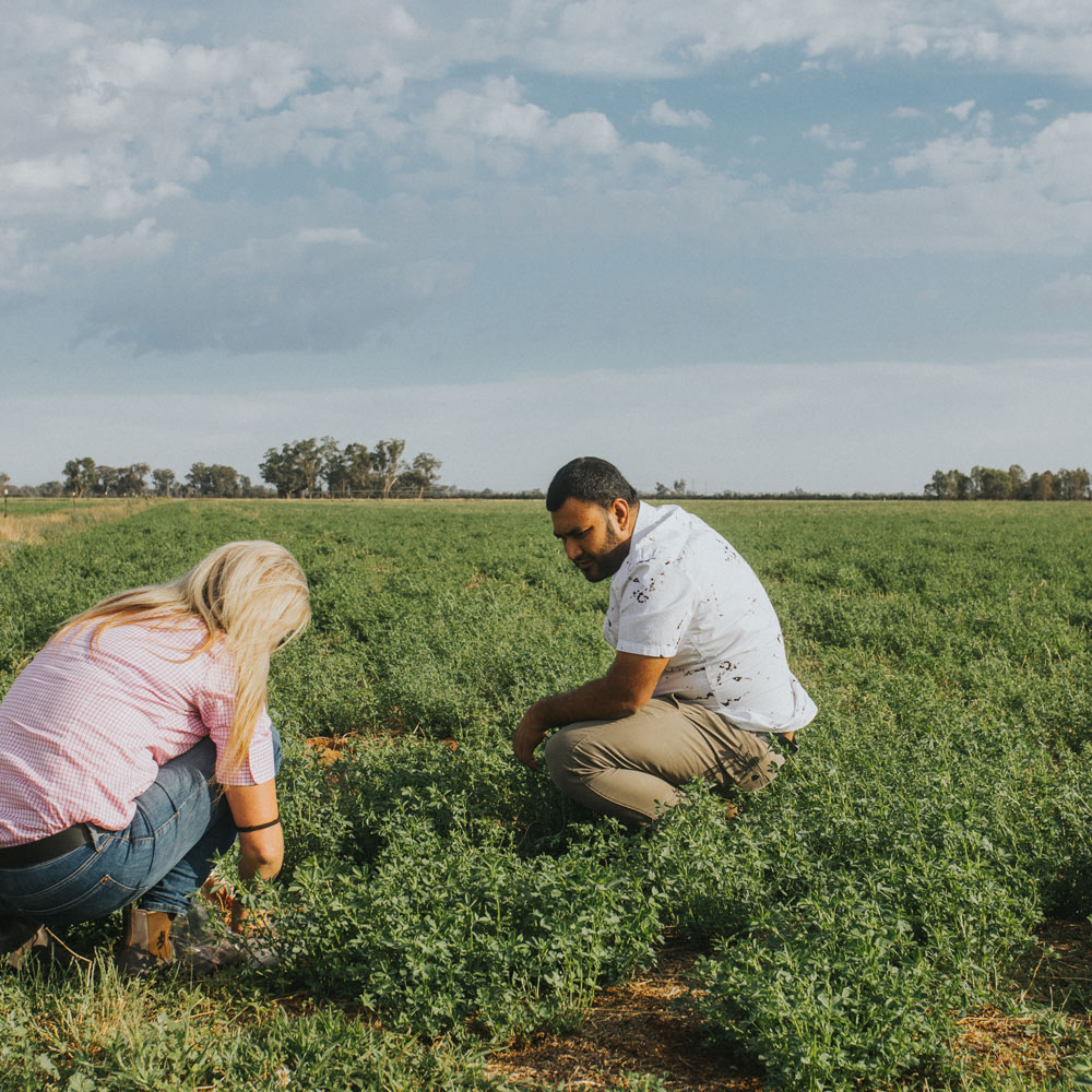 New Edge Microbials | 3 Moloney Dr, Wodonga VIC 3690, Australia | Phone: (02) 6025 0044