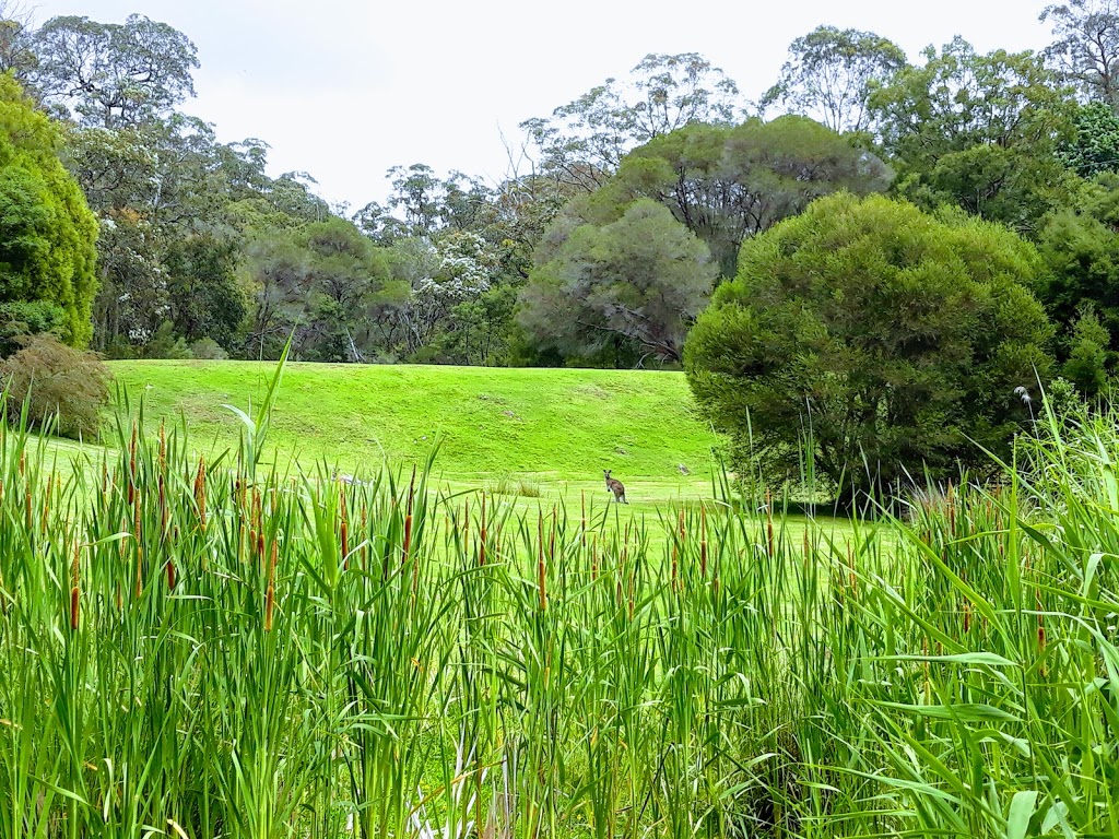 GIPSY POINT LAKESIDE | lodging | 261 Gipsy Point Rd, Gipsy Point VIC 3891, Australia | 0351588200 OR +61 3 5158 8200