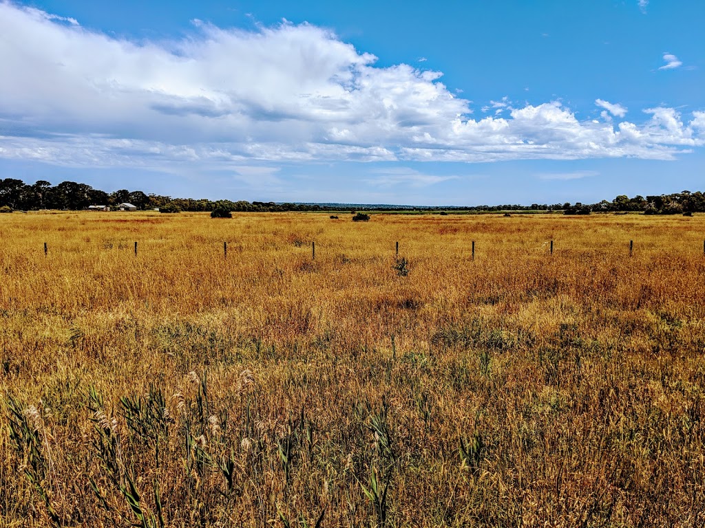 Seaford Wetlands | park | Seaford Wetlands Reserve, 43R Austin Rd, Seaford VIC 3198, Australia | 1300322322 OR +61 1300 322 322