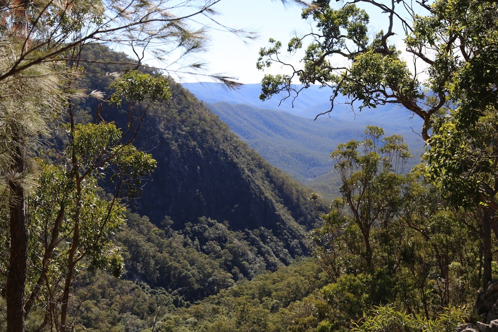 Chaelundi campground | Misty Creek Road, The Gulf NSW 2365, Australia | Phone: (02) 6657 2309