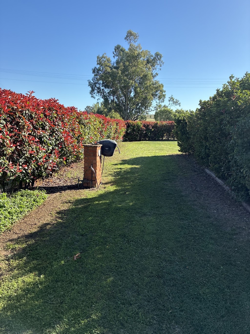 Canowindra Joe Lawn Mowing | 3 Lynn St, Canowindra NSW 2804, Australia | Phone: 0404 474 536