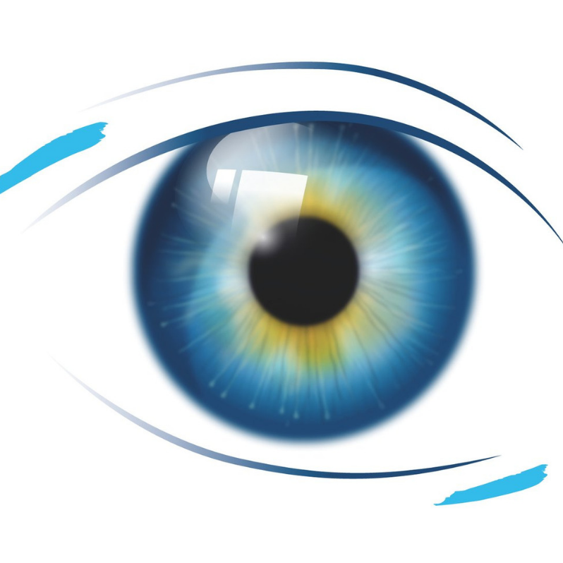Eye Surgeons SA Whyalla | health | Hospital & Health Services, 20 Wood Terrace, Whyalla SA 5600, Australia | 0882390118 OR +61 8 8239 0118