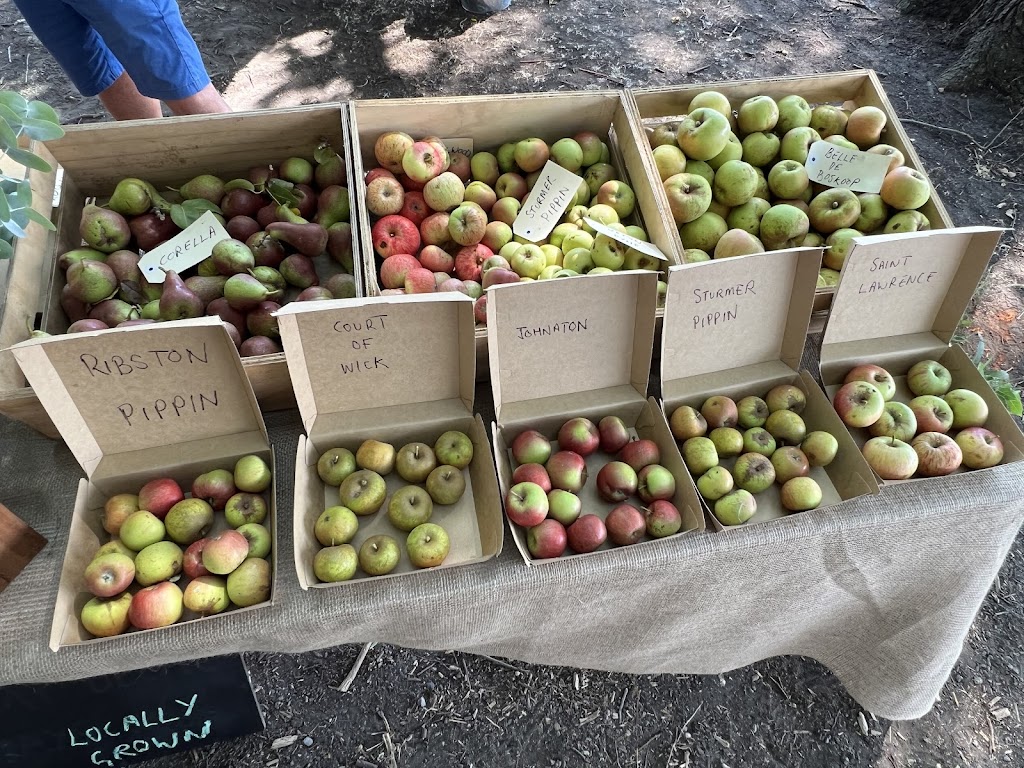 Beeac Community Market: 4th Sun of the month | 69 Main St, Beeac VIC 3251, Australia | Phone: 0422 173 177