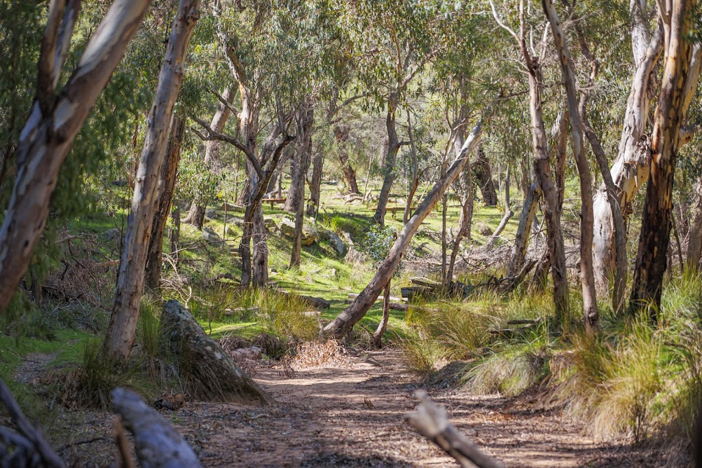 Big Sky Experiences | 218 Observatory Road, Coonabarabran NSW 2357, Australia | Phone: 0428 424 100