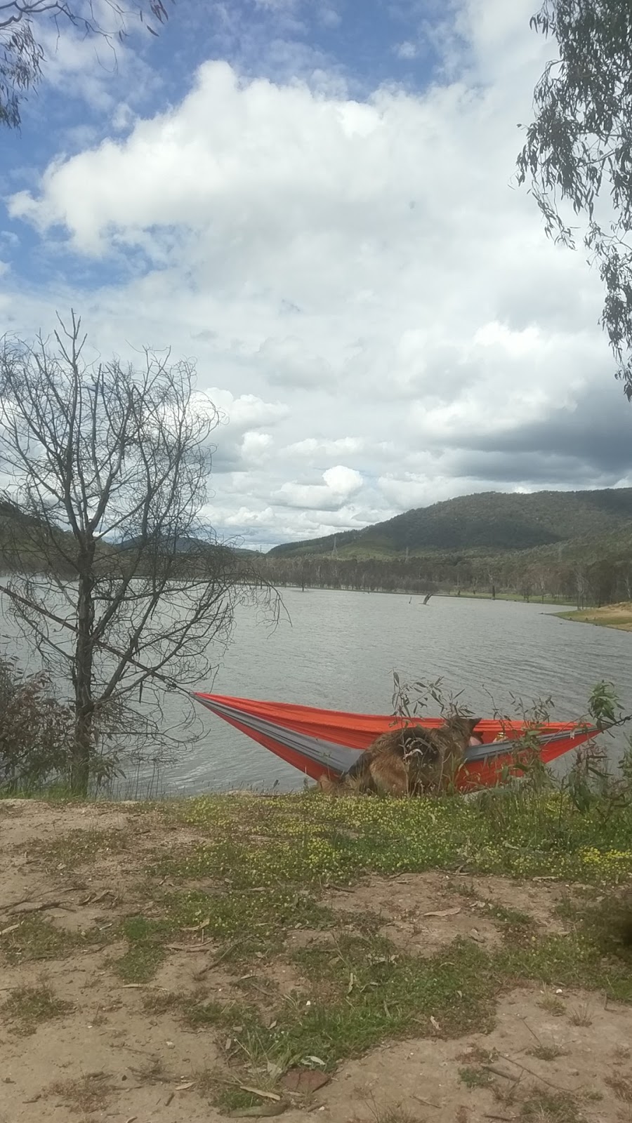 The Orchard Camp Ground Lake Eildon | Lake Eildon VIC 3713, Australia