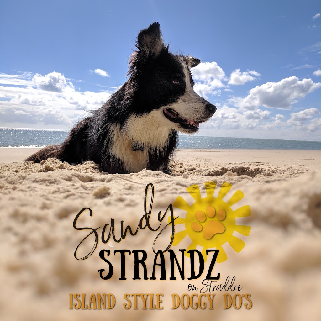 Sandy Strandz |  | 8 Bambara St, Point Lookout QLD 4183, Australia | 0484284891 OR +61 484 284 891