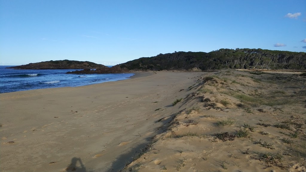 Sandy Creek Walking Track | Sandy Creek loop trail, Bournda NSW 2548, Australia