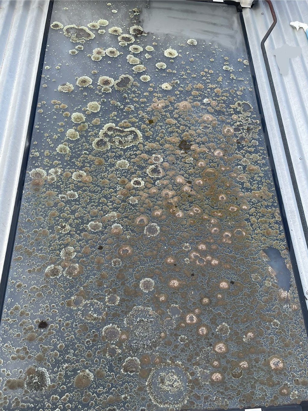 Caldwells Cleaning Service | 71 Hambridge Rd, Bargo NSW 2574, Australia | Phone: 0418 458 606