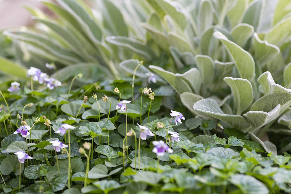 Hunter Landscaping Design + Construct | 1623 Maitland Vale Rd, Lambs Valley NSW 2337, Australia | Phone: 0429 326 168