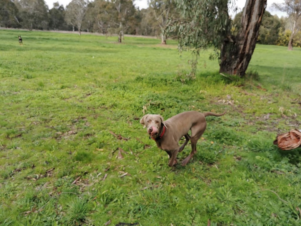 Banyule Flats Dog Run | park | Viewbank VIC 3084, Australia