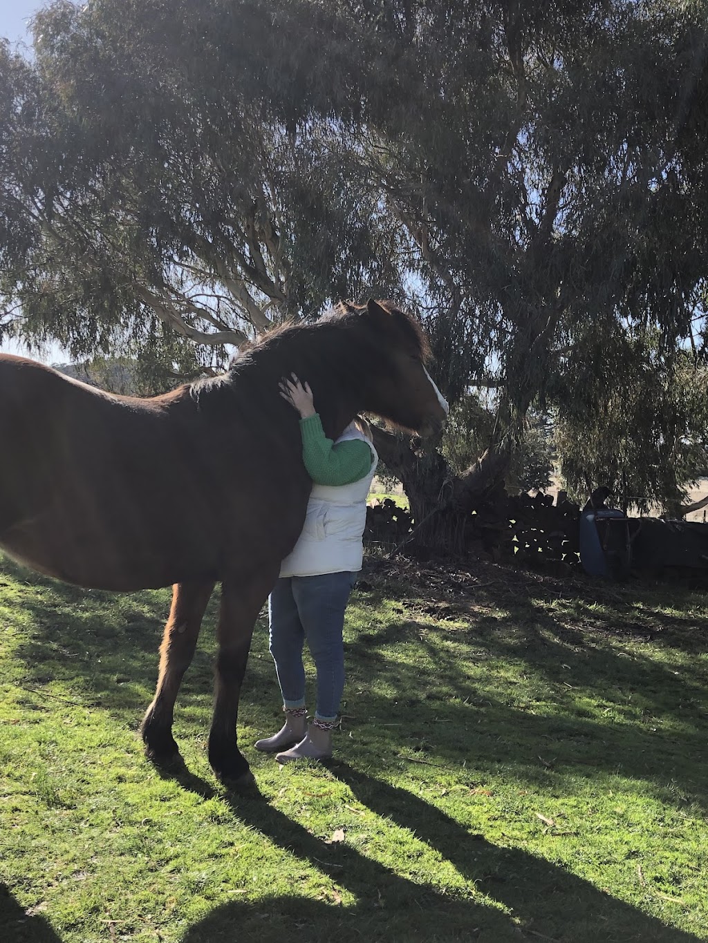 Heart of the Horse- Working with Horses helping people to heal | 275 Zig Zag Rd, Drummond North VIC 3446, Australia | Phone: 0415 288 438