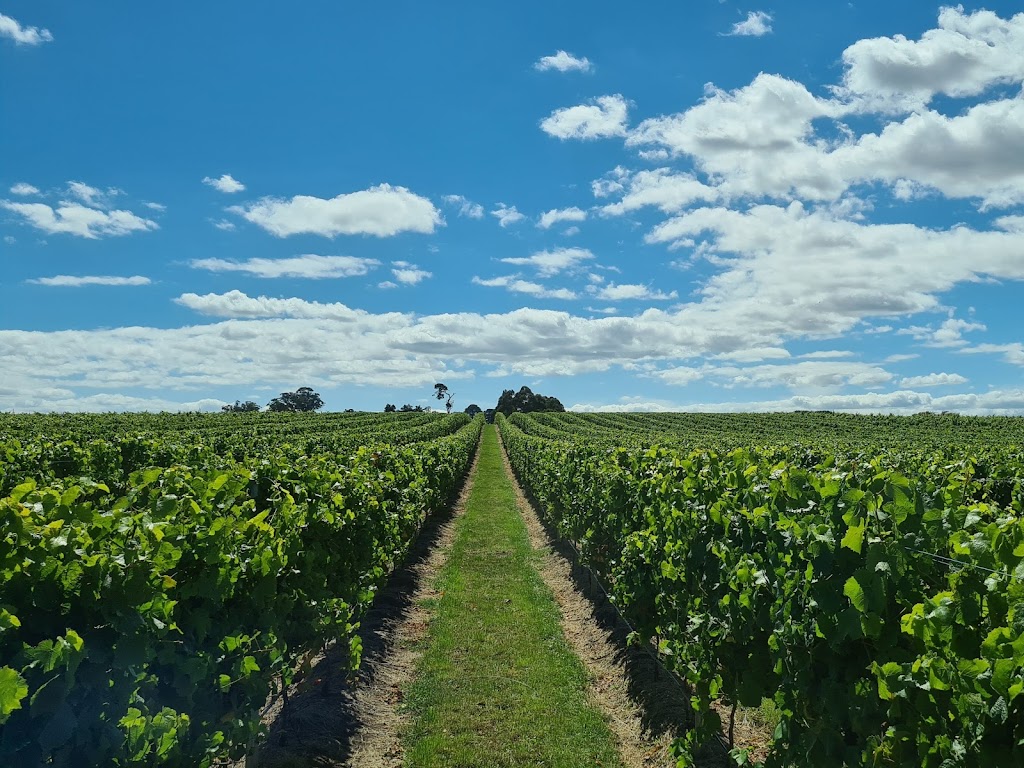 Glenview Vineyard (No cellar door) | Egerton Rd, White Hills TAS 7258, Australia | Phone: 0436 809 544