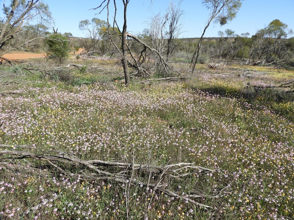 Coalseam Conservation Park | park | Western Australia 6522, Australia