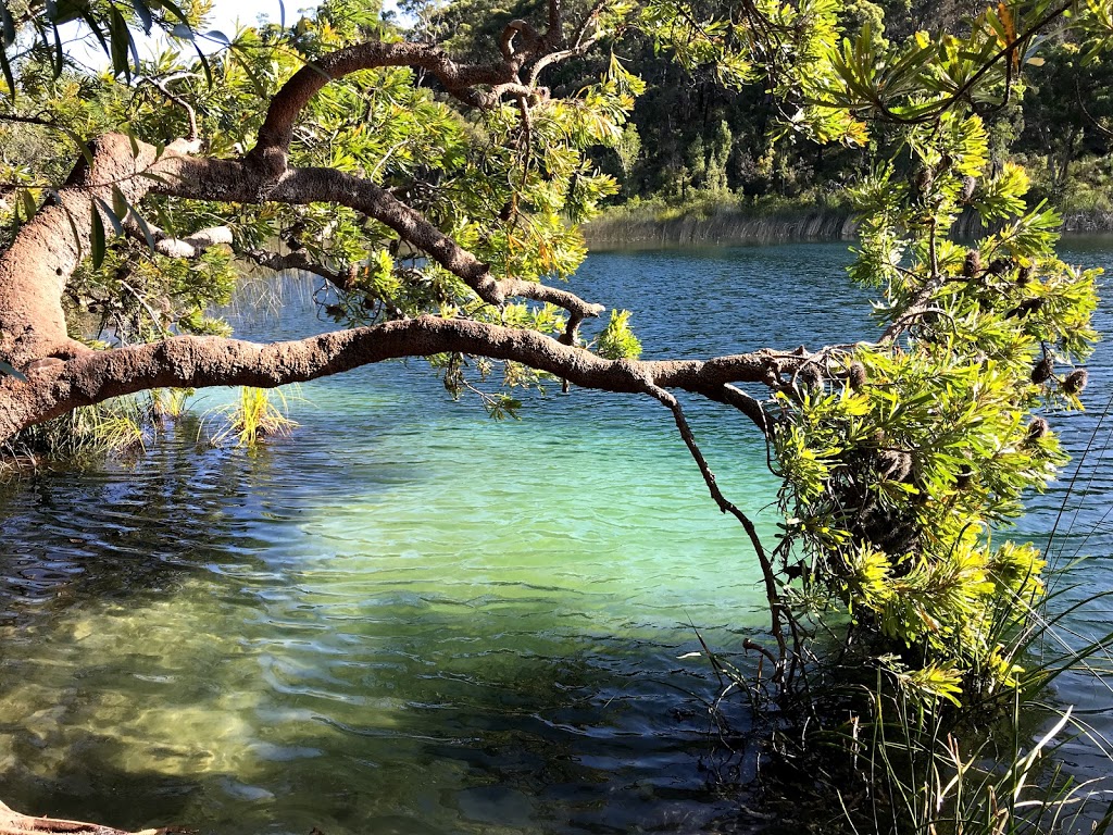 Blue Lake National Park | North Stradbroke Island QLD 4183, Australia | Phone: 13 74 68