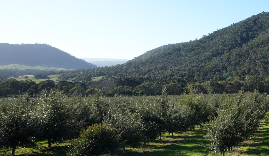 King Truffle Farm | 3492 Whittlesea-Yea Rd, Flowerdale VIC 3717, Australia | Phone: 0458 362 370