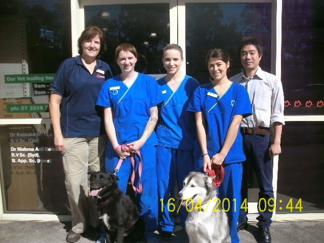 Our Vet Virginia | veterinary care | 1834 Sandgate Rd, Virginia QLD 4014, Australia | 0732162440 OR +61 7 3216 2440