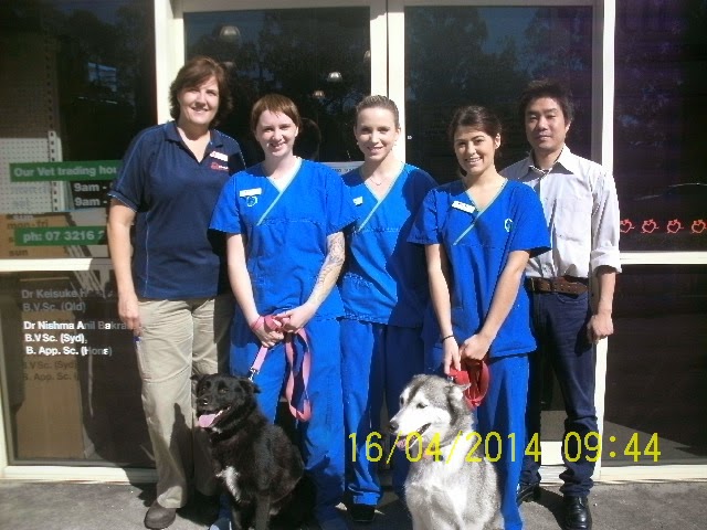 Our Vet Virginia | 1834 Sandgate Rd, Virginia QLD 4014, Australia | Phone: (07) 3216 2440