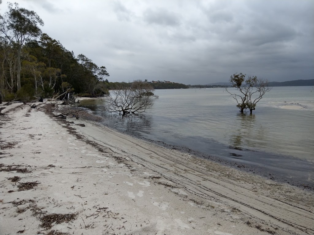 Mambo Wetlands Reserve - Port Stephens Council | park | 190 Port Stephens Dr, Salamander Bay NSW 2317, Australia