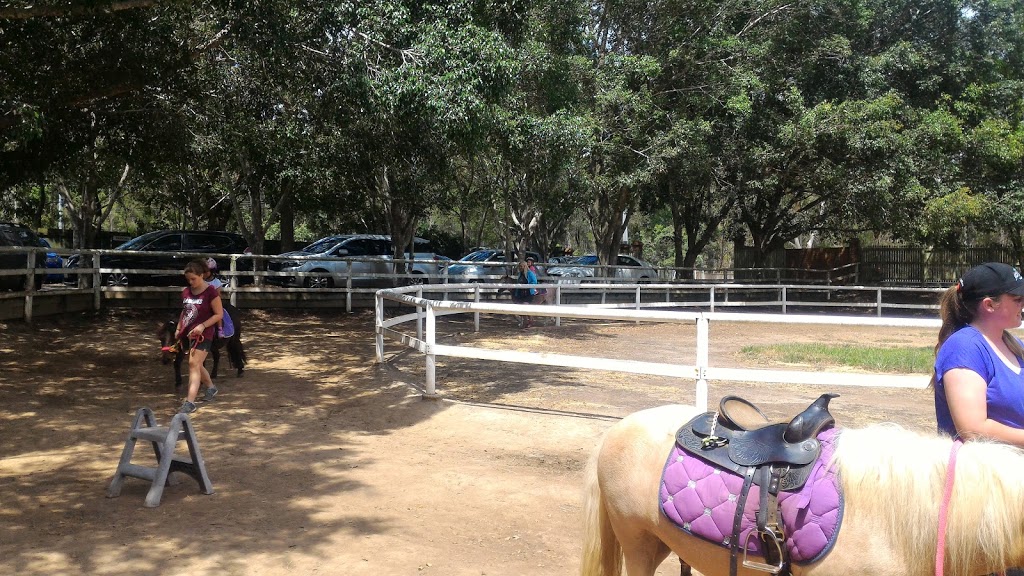 Mini Mates Miniature Horse and Pony Farm | 1222 Mount Cotton Rd, Burbank QLD 4156, Australia | Phone: (07) 3349 1910