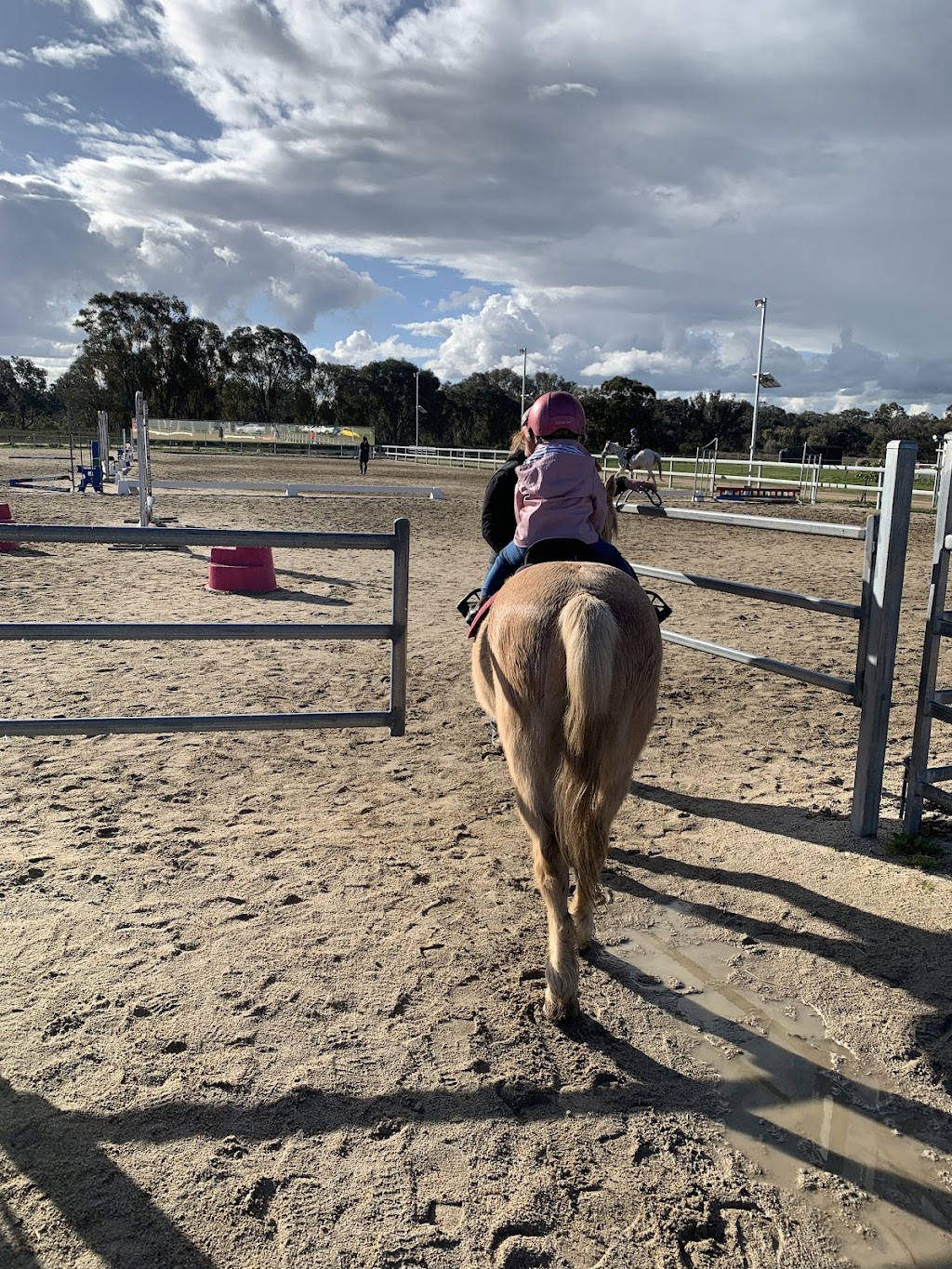 JW Equestrian | 109 Ryans Access Rd, Barnawartha VIC 3688, Australia | Phone: 0418 415 159