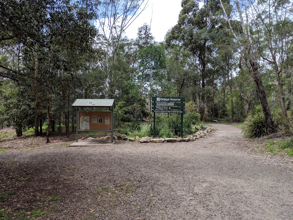 Bidjigal Reserve - Platypus Track | Castle Hill NSW 2154, Australia