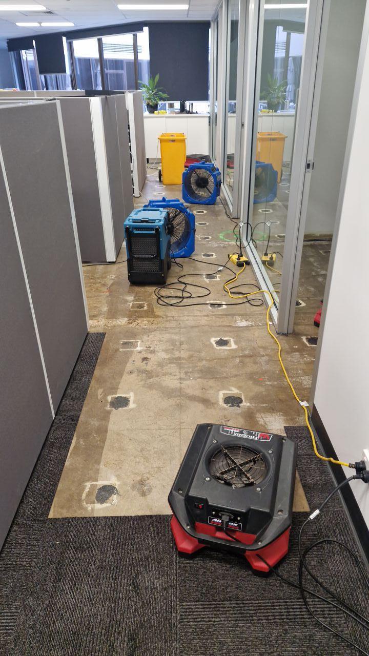 Flood Fixers Adelaide | 71 Gemini Way, Mannum SA 5238, Australia | Phone: 0459 820 511